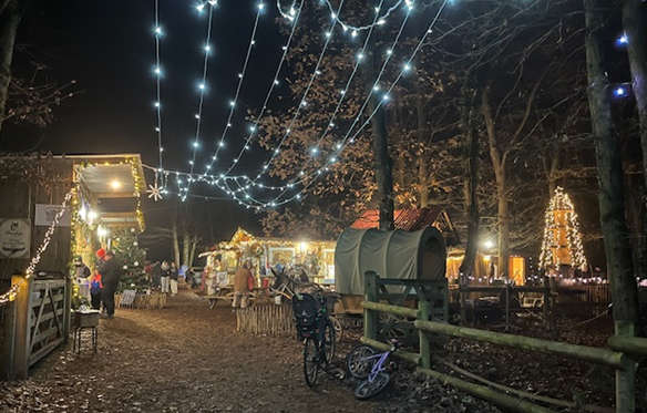 Ambiance nocturne du Marché de Noël de l’Ânerie Bacotte à Bois-le-Roi